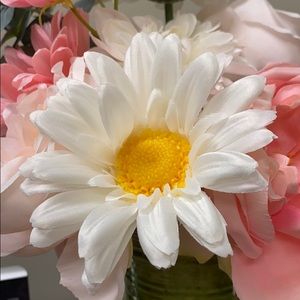 Meet your Posher, Martha